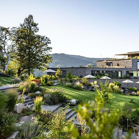 Luisenhoehe - Gesundheitsresort Schwarzwald Horben Exteriör bild